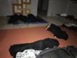 her nogle trætte børn som har sovet lidt og snart skal vækkes - da der skal spises aftensmad inden de de skal hjem og sove hele lørdagen 10/2-2018 kl. 06.07